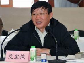 上海原副市长艾宝俊首现新罪名 携全家牟利